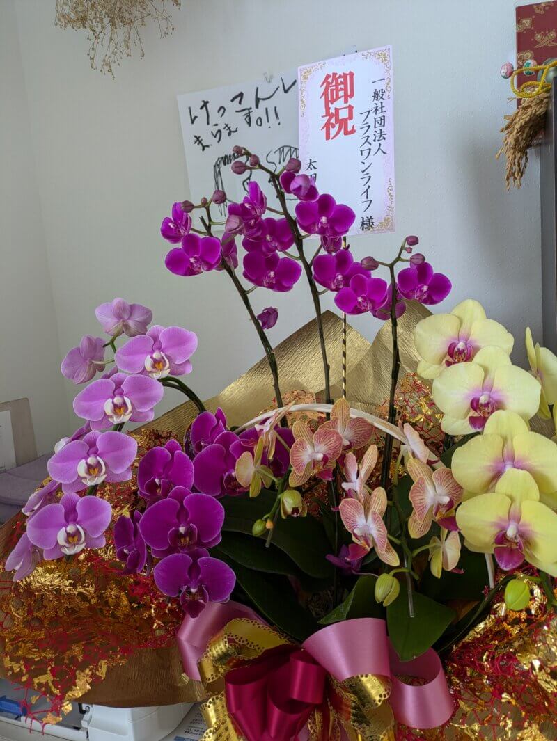 一般社団法人プラスワンライフへの花束