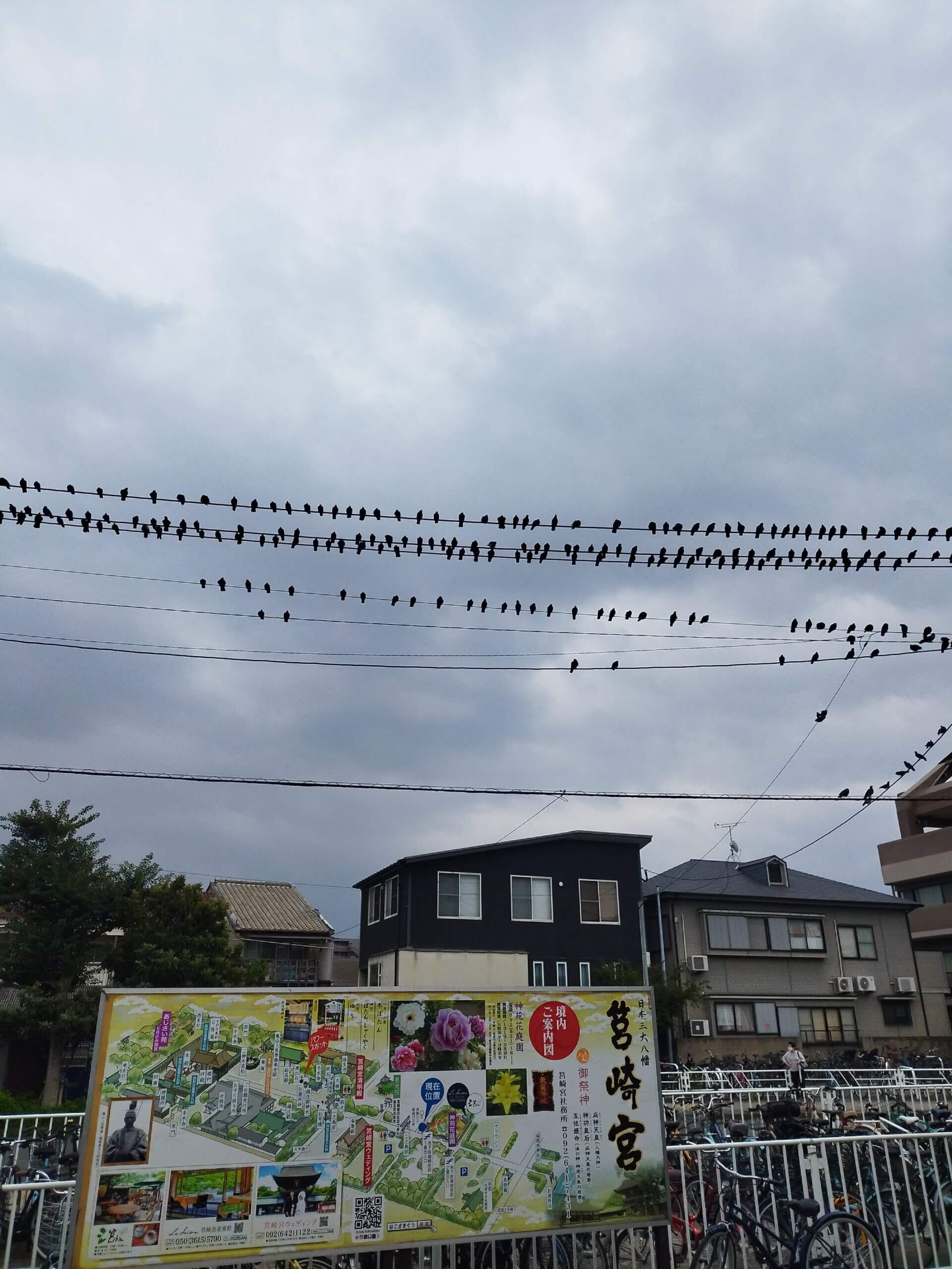 福岡出張カウンセリング | トラウマ治療ならプラスワンライフ